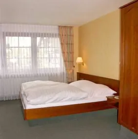 Hotel-Restaurant Weinhaus Grebel - Chambre