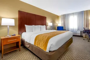 Comfort Inn Auburn - Seattle - Chambre