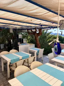 Palmira Selimiye - Réception