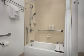 Comfort Suites Vestal Near University - Salle de bain