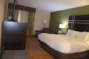 Comfort Inn & Suites Maumee - Toledo I80-90 - Chambre