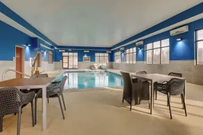 Hampton Inn & Suites St. Louis-Edwardsville - Piscine