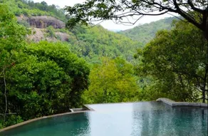 Birds Park Polgahawela - Pool