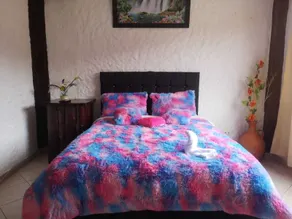 The Frailejon House  - Chambre