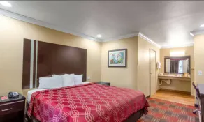 Econo Lodge Inn & Suites Escondido Downtown - Chambre