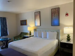 Rocklin Park Hotel, Trademark Collection by Wyndham - Chambre