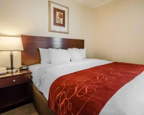 Quality Suites Jeffersonville - Louisville North - Chambre