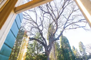 Villa Rinalducci - Ausblick vom Zimmer