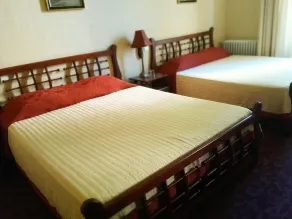 Hôtel Alexandre III - Chambre