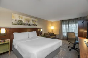 Comfort Inn South - Chambre