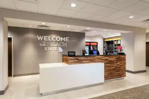 Hampton Inn & Suites Snellville Atlanta NE - Recepción