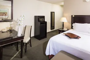 Hampton Inn & Suites Las Vegas South - Chambre