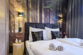 Apartament Izerska Przygoda - 5D Apartamenty - Værelse