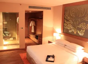 Radisson Blu Hotel New Delhi Dwarka - Room