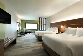 Holiday Inn Express & Suites - McAllen - Medical Center Area by IHG - Chambre
