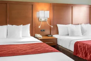 Comfort Inn & Suites San Francisco Airport North - Chambre
