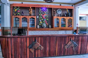 Hotel Puntarenas Beach - Reception