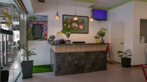 Highlanders Hotel - Réception