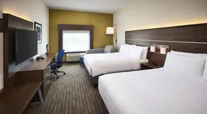 Holiday Inn Express & Suites - Brantford by IHG - Room