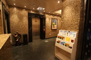 Hotel Star Gangnam - Réception