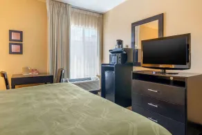 Quality Inn & Suites Lenexa Kansas City - Chambre