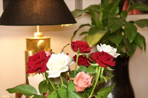 La Claire Fontaine - Reception