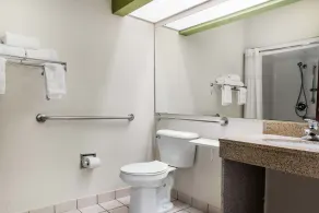 Quality Inn & Suites Anderson I-69 - Salle de bain