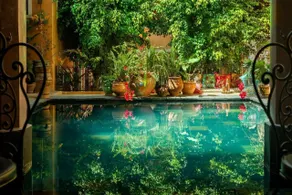 Riad Roxanne - Basseng