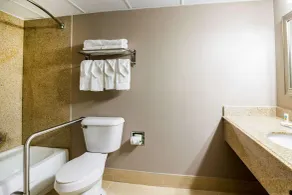 Quality Inn & Suites Arden Hills - Saint Paul North - Salle de bain