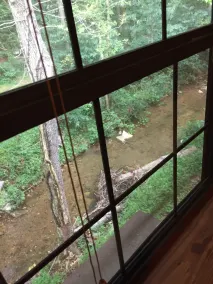 The Sugar Creek Retreat - Utsikt fra rommet