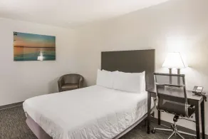 Americas Best Value Inn & Suites-Birch Run - Chambre