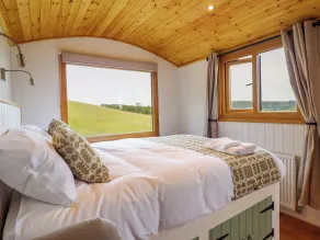 Defaid Cymreig - Quarto