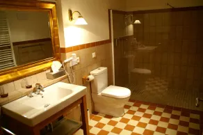 Spa Resort Landlust Dresden - Bathroom