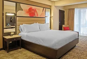 Hilton Garden Inn Guatemala City - Room