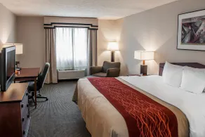 Comfort Inn Indianapolis South I-65 - Chambre