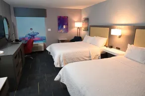 Hampton Inn Valdosta/Lake Park Area - Chambre