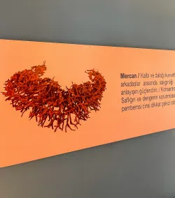 Selimiye 9 Oda - Zimmer