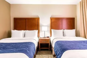 Comfort Suites Humble Bush Intercontinental Airport - Zimmer