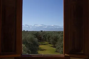 GreenLife Marrakech - Vue de la chambre