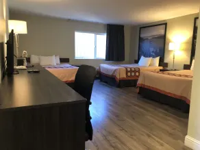 Hotel Elevation - Chambre