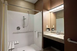 Microtel Inn & Suites by Wyndham St Clairsville - Wheeling - Salle de bain