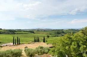 Laqua Vineyard - Ausblick vom Zimmer