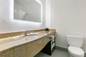 Clarion Pointe Columbus-Bradley Park - Salle de bain