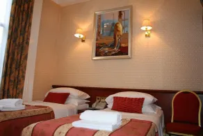 Avon Hotel - Room