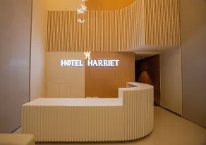 Hotel Harriet, 50m away from temple Rameshwaram - Reception