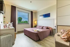 Ardeatina Park Hotel - Room