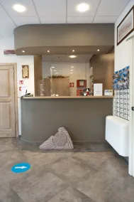 Hotel Domomea - Réception
