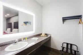 Palace Inn and Suites Baytown - Bathroom