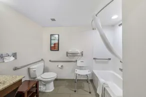 Comfort Inn US Hwy 80 - Bad