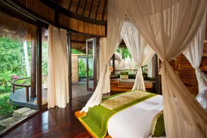 Fivelements Ubud - Udsigt fra værelset